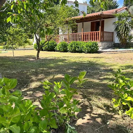 Panos וילה קוקונאריס