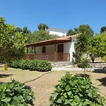 فيلة Panos *